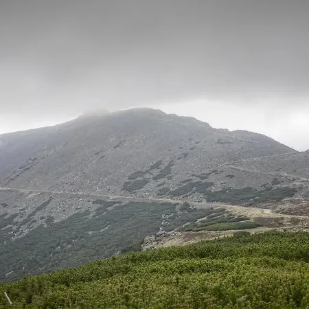 Apartment Apartament Antique *