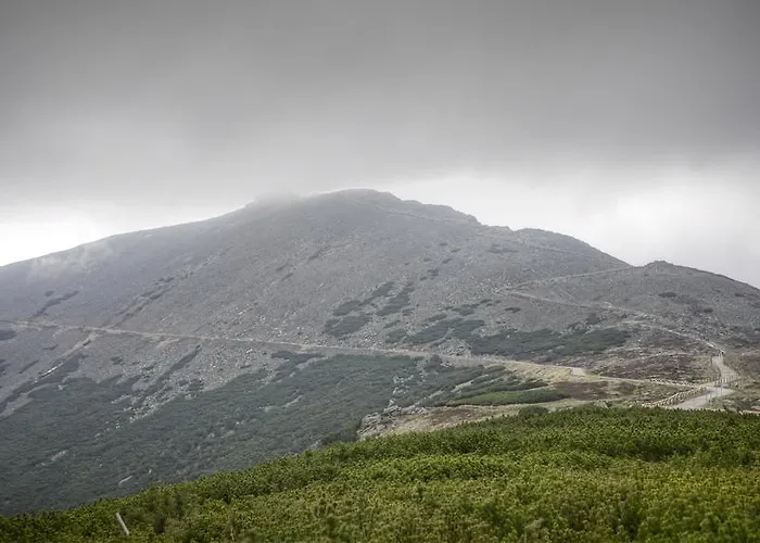 Appartement Antique *