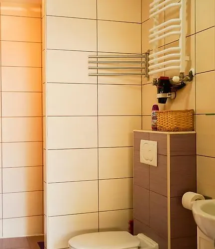 Apartament Antique Apartment