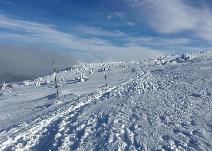 Apartment Apartament Antique